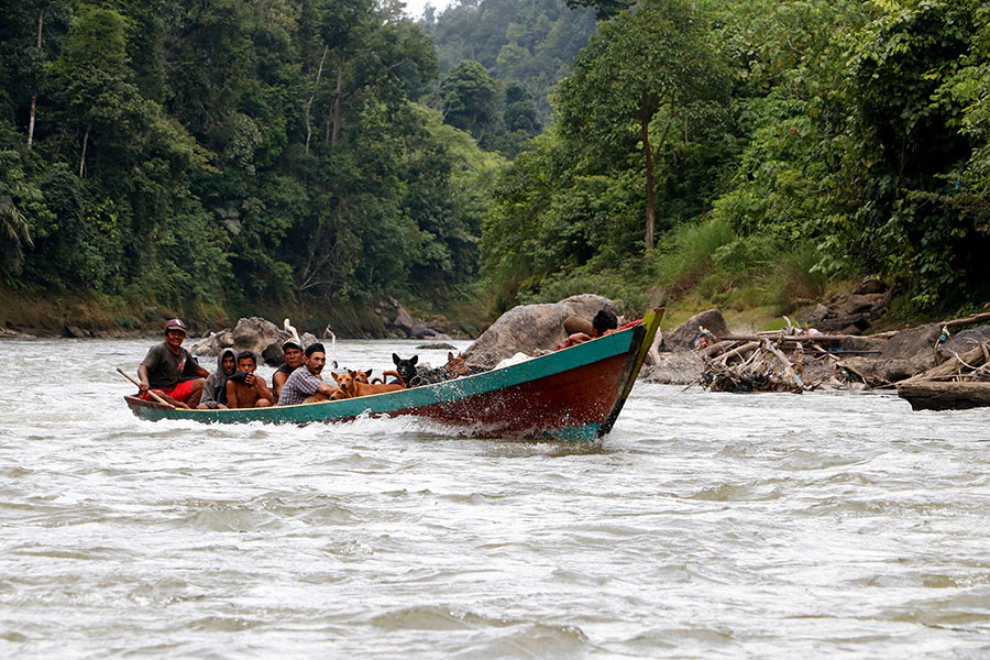 Sungai Alas-Singkil sangat penting bagi kehidupan masyarakat sekitar. Foto: Junaidi Hanafiah/Mongabay Indonesia