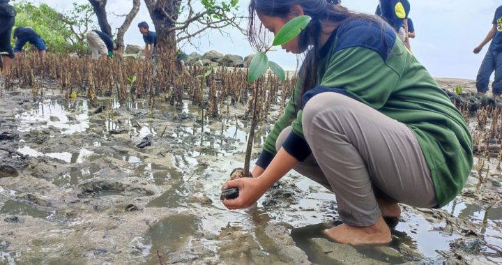 Mangrove Camp Kurri Caddi, Upaya Generasi Muda Menjaga Pesisir
