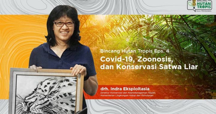 Bincang Hutan Tropis Eps. 4: Covid-19, Zoonosis, dan Konservasi Satwa Liar Indonesia