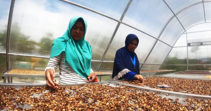 Cerita Petani Perempuan Jangkat Bertani Ramah Lingkungan