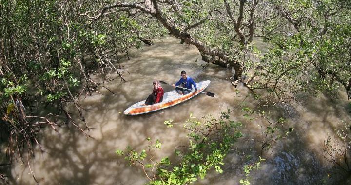 Ekowisata Bale Mangrove Terapkan Deposit Refund agar Kawasan Bersih Sampah