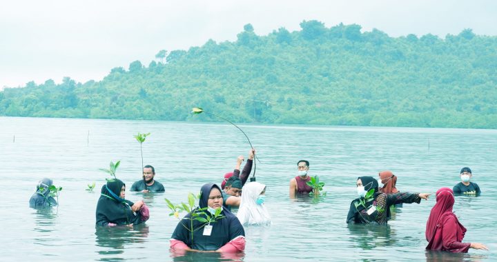 Pulihkan Ekosistem Mangrove yang Kritis, Kembalikan Sumber Ekonomi Pesisir