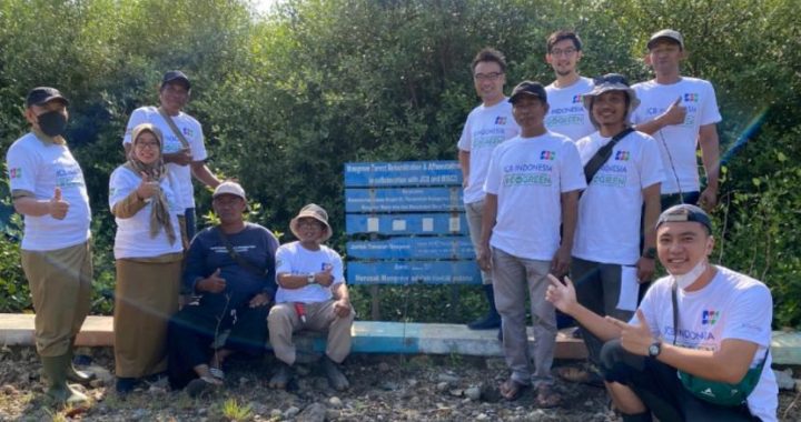 Penanaman 10 Ribu Mangrove di Pesisir Pati untuk Hadapi Perubahan Iklim
