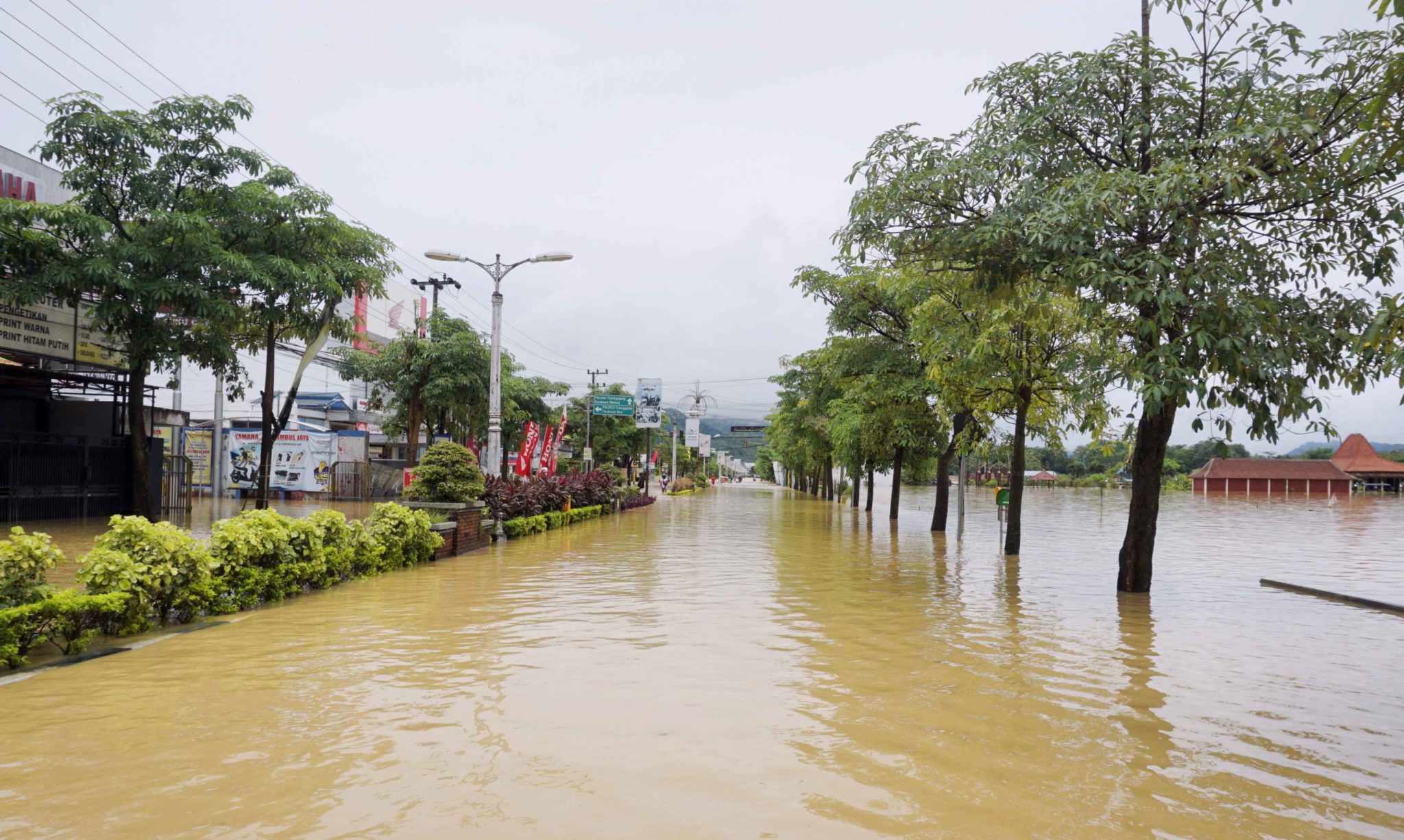 Jalur protokol di tengah kota Kabupaten Trenggalek yang terendam banjir, Selasa (18/10/22). Foto: A. Asnawi/ Mongabay Indonesia