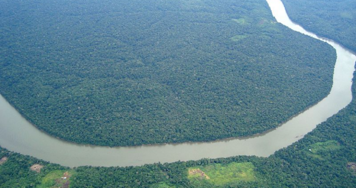 Norwegia akan Lanjutkan Dana Bantuan Konservasi Hutan Amazon ke Brasil