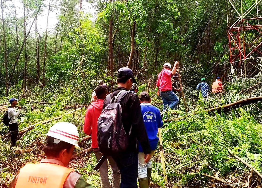 Proses pencarian Sehat, buruh perusahaan HTI yang kena terkam harimau. Kawasan ini hutan di lahan gambut di Riau. Foto: BBKSDA Riau  