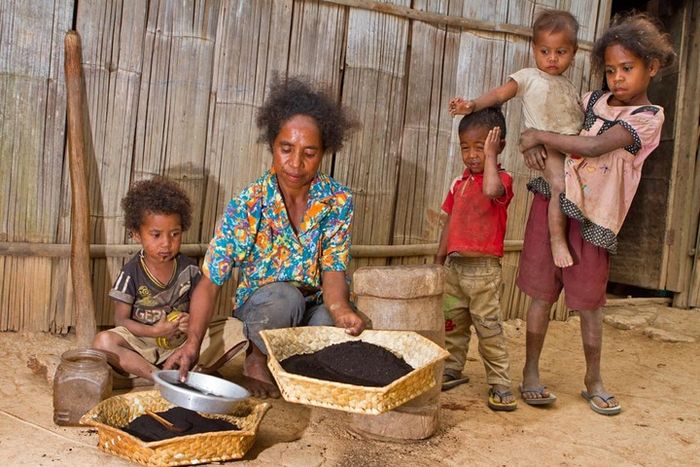 Anak-anak Fatimah Sarmento menunggu sang Mama selesai menumbuk biji kopi. Di Kampung Seloi, Aileu, Timor Leste. Yunaidi/National Geographic Traveler 