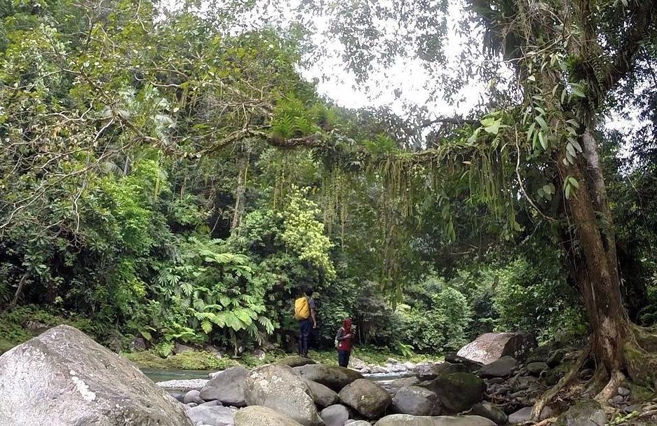 Hutan Gamaran menyimpan keanekaragaman flora dan fauna. (instagram.com/ritnokurniawan)