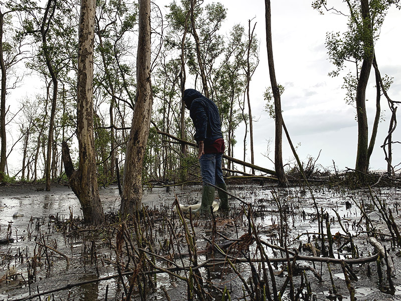 Nelayan mencari kepiting di sekitar pohon mangrove yang tersisa di tepi pantai Desa Sayang. Foto diambil 30 Oktober 2022. Foto: Teguh Suprayitno/ Mongabay Indonesia