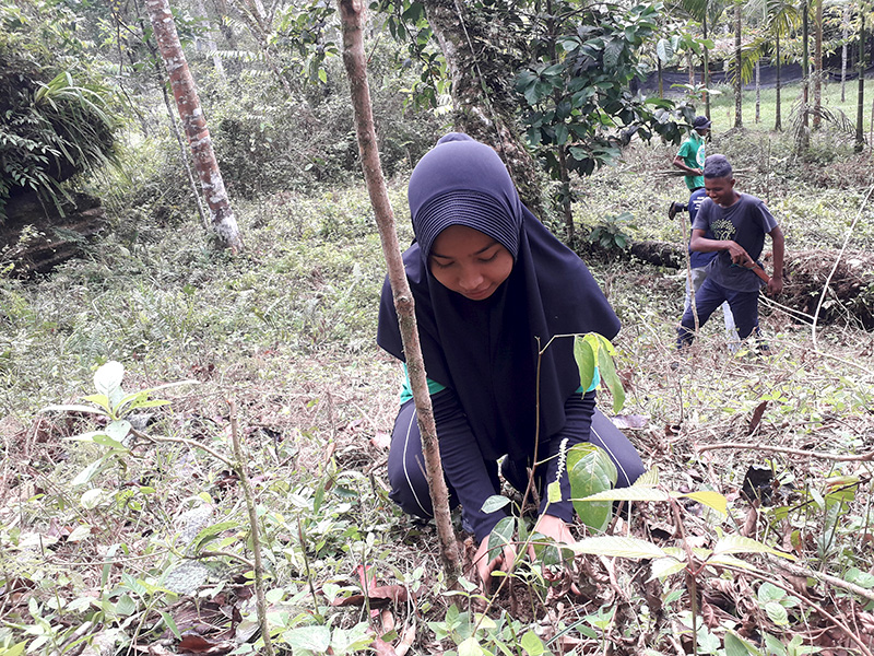 Pohon yang ditanam selalu dirawat, agar tumbuh sehat dan berbuah. Foto: Yael Stefany/Mongabay Indonesia