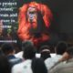 Lestarikan Orangutan, UGM Jadi Tuan Rumah Roadshow Peduli Orangutan Tapanuli