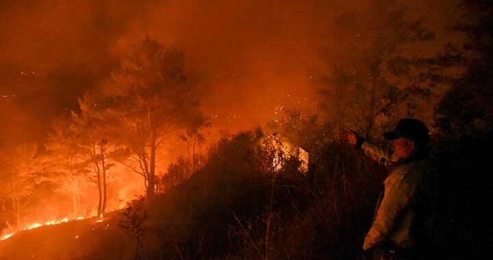 Hutan Seluas 100 Hektare di Sumatera Barat Terbakar