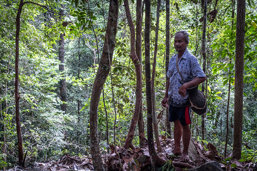 Abok Gedoi, Ketua Adat Mapur di Dusun Air Abik berada di kawasan hutan air terjun kasak tade. Foto: Nopri Ismi/Mongabay Indonesia