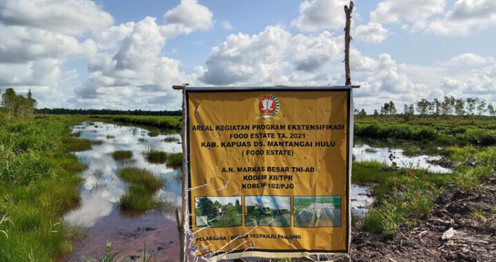 LSM: Food Estate Penyebab Deforestasi dan Rusaknya Lahan Gambut