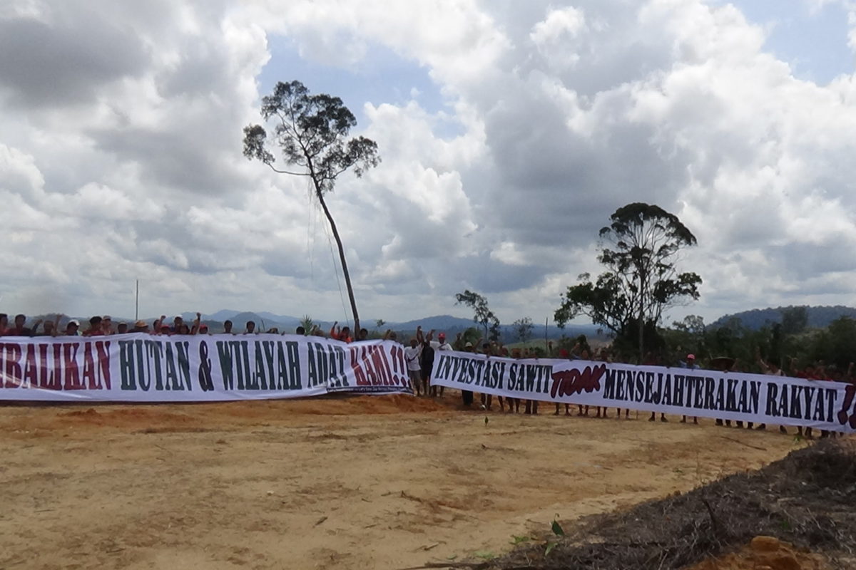 Spanduk menuntut pengembalian hutan adat Kinipan dan penolakan terhadap investasi sawit. Hutan itu sudah bersih, bersiap menjadi kebun sawit…Foto: Budi Baskoro/ Mongabay Indonesia