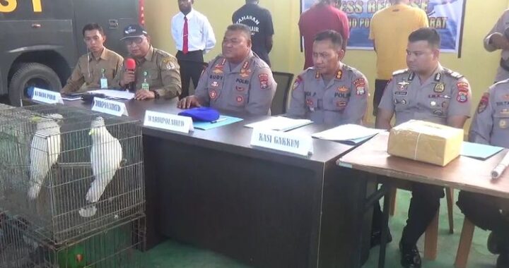 Polisi Tetapkan 2 Tersangka Perdagangan Satwa Dilindungi di Sorong
