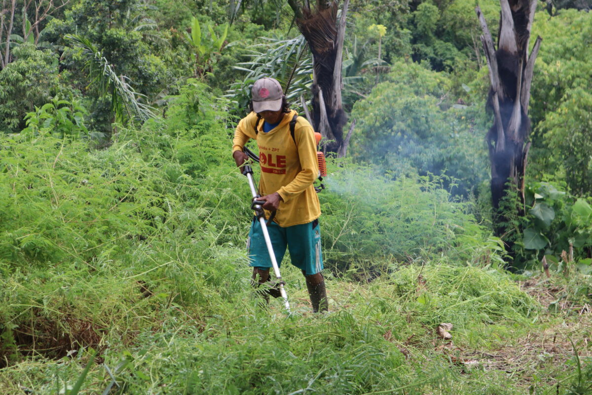Masyarakat Desa Moa, Kecamatan Kulawi Selatan, Kabupaten Sigi, Sulawesi Tengah sedang membersihkan lahan dari ilalang. Foto: Sarjan lahay/ Mongabay Indonesia