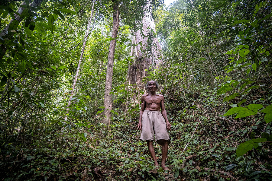 Atok Kasmin, berdiri dekat pohon besar yang tersisa di hutan larangan Gunung Cundong. Foto: Nopri Ismi/Mongabay Indonesia