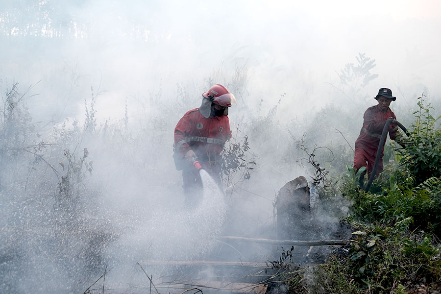 Petugas dari Manggala Agni tengah memadamkan bara api di lahan terbakar di Desa Tanjung Seteko, Kecamatan Indralaya, Kabupaten Ogan Ilir, Sumatera Selatan. Foto: Ahmad Rizki Prabu