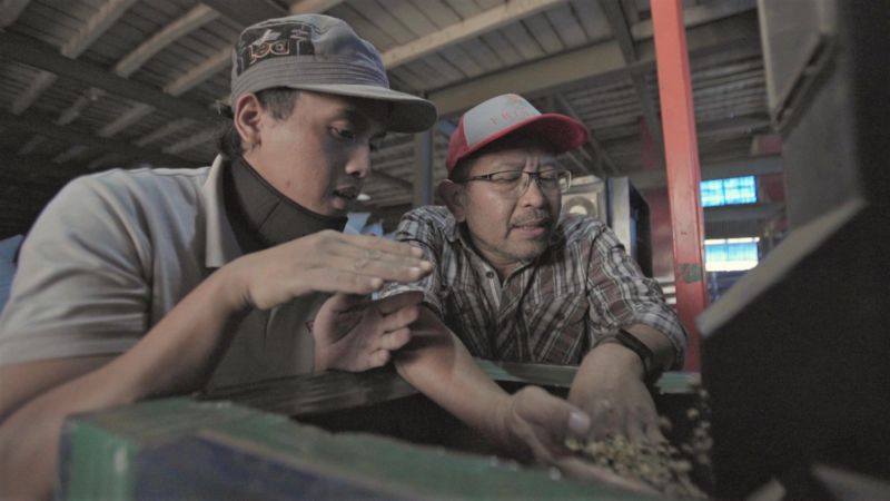 Wildan Mustofa (kanan) mengatakan fluktuasi cuaca ekstrem akibat perubahan iklim berdampak pada produktivitas kopi di perkebunannya.